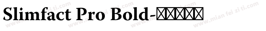 Slimfact Pro Bold字体转换